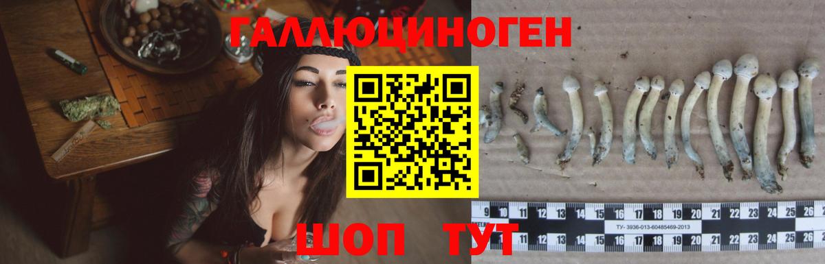 Галлюциногенные грибы мухоморы Советская Гавань